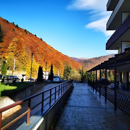 Serenity Suite Sinaia Luaran gambar
